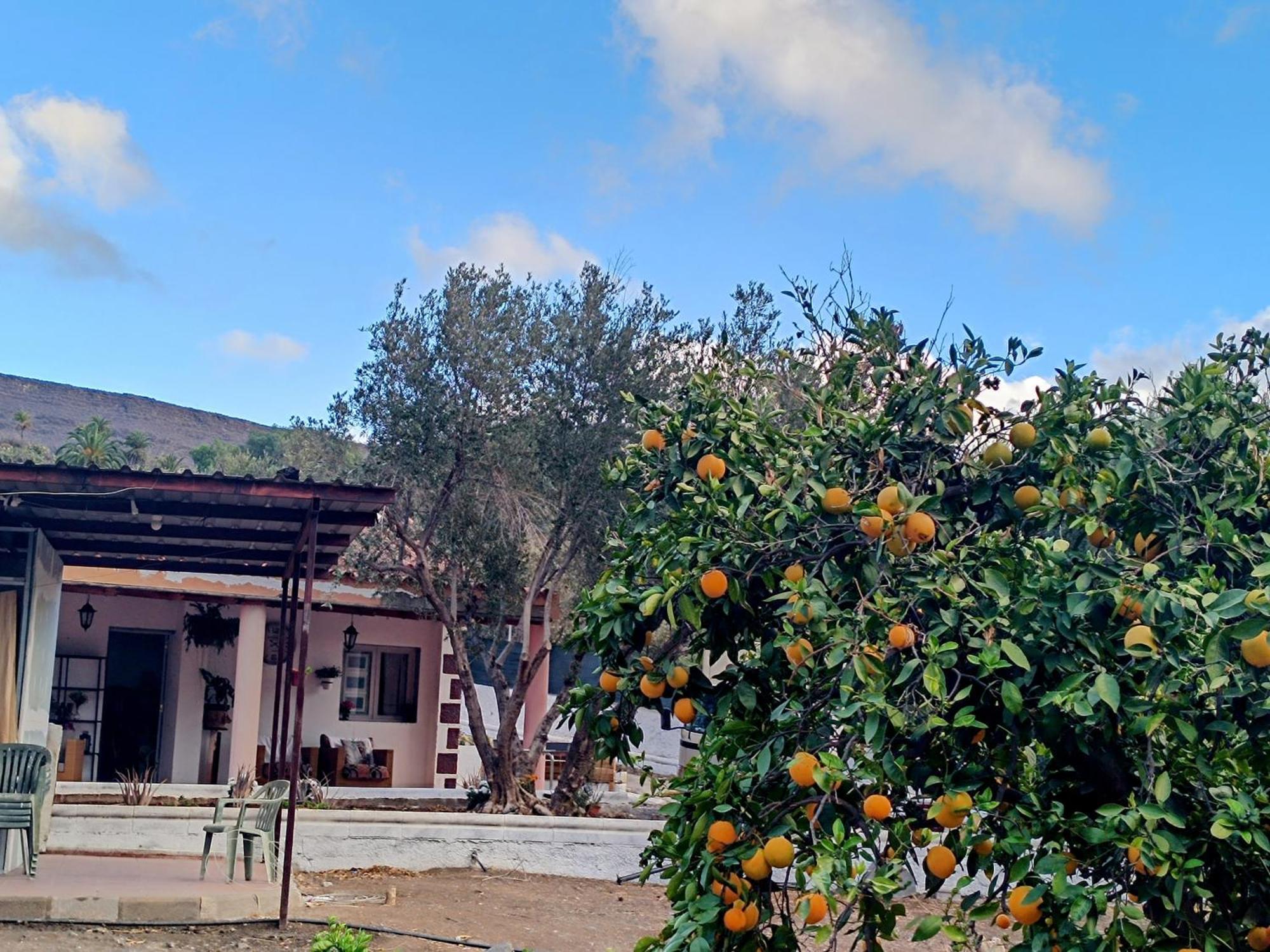 La Casa De La Pradera Villa Santa Lucia Eksteriør bilde