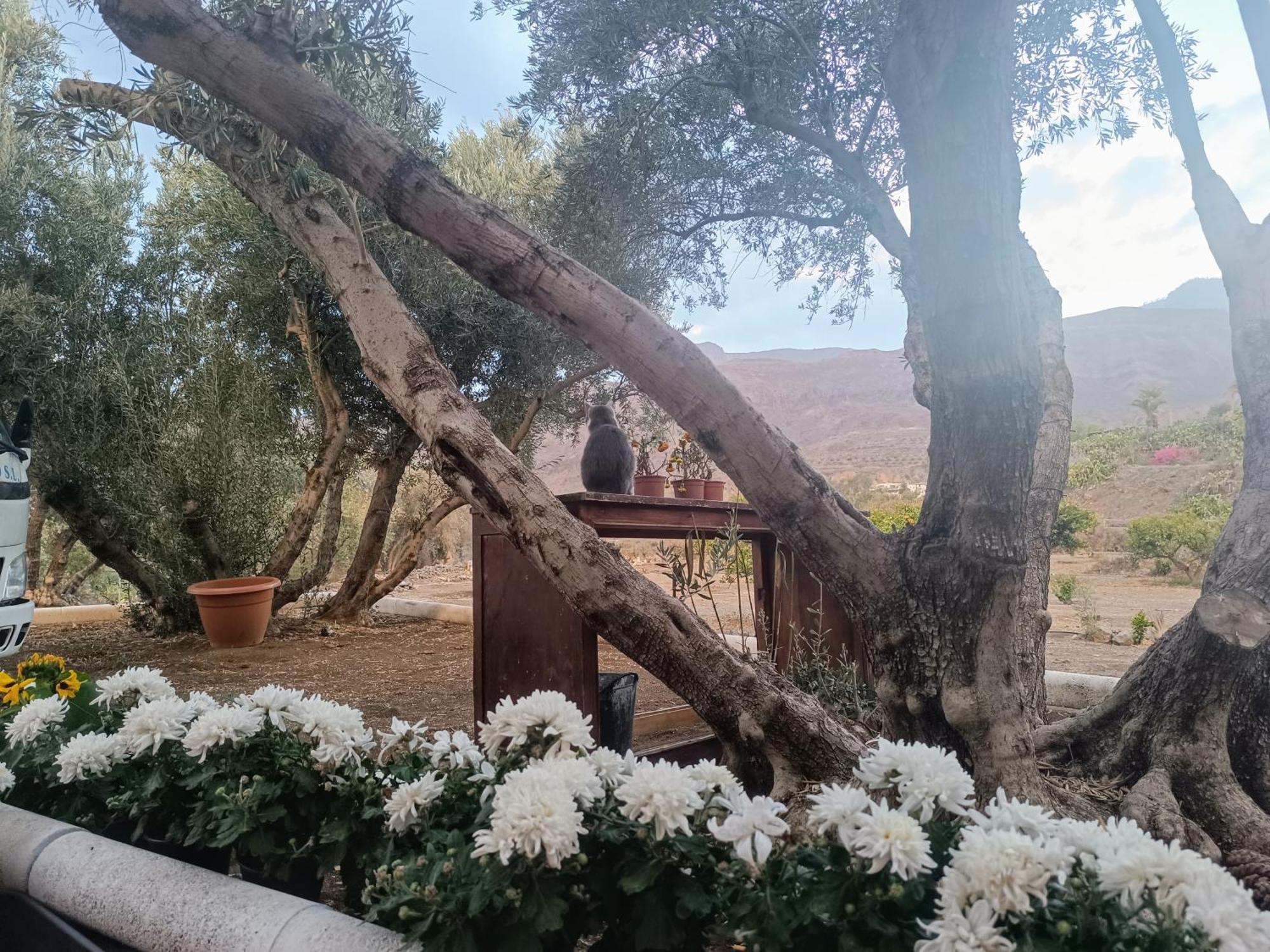 La Casa De La Pradera Villa Santa Lucia Eksteriør bilde